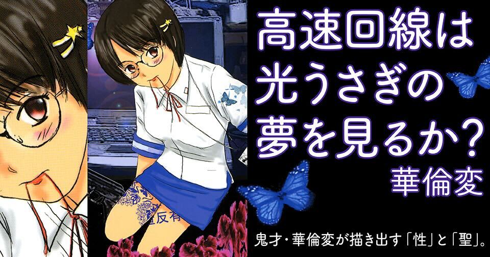 高速回線は光うさぎの夢を見るか?